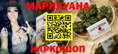 гашик Кимры