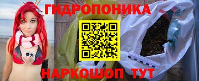 гашик Кимры