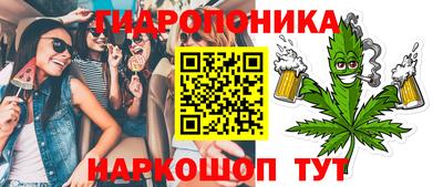 гашик Кимры